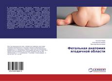 Buchcover von Фетальная анатомия ягодичной области