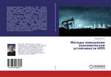 Buchcover von Методы повышения экономической устойчивости НПП