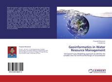 Обложка Geoinformatics in Water Resource Management