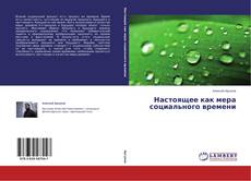 Buchcover von Настоящее как мера социального времени