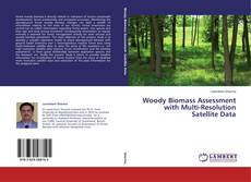 Buchcover von Woody Biomass Assessment with Multi-Resolution Satellite Data