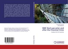 Couverture de SME Start-ups prior and after the Financial Crisis