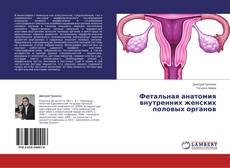 Buchcover von Фетальная анатомия внутренних женских половых органов