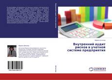 Buchcover von Внутренний аудит рисков в учетной системе предприятия