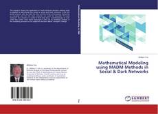 Mathematical Modeling using MADM Methods in Social & Dark Networks的封面