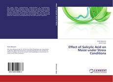 Copertina di Effect of Salicylic Acid on Maize under Stress Conditions