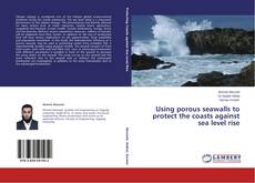 Portada del libro de Using porous seawalls to protect the coasts against sea level rise