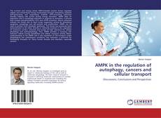 Buchcover von AMPK in the regulation of autophagy, cancers and cellular transport