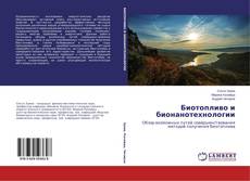 Биотопливо и бионанотехнологии的封面