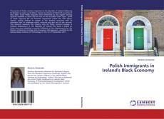 Buchcover von Polish Immigrants in Ireland's Black Economy