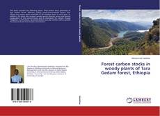 Portada del libro de Forest carbon stocks in woody plants of Tara Gedam forest, Ethiopia