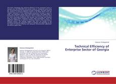 Buchcover von Technical Efficiency of Enterprise Sector of Georgia