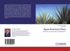 Bookcover of Agave Americana Fibres