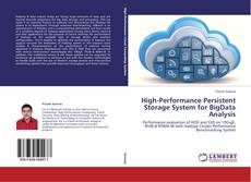 High-Performance Persistent Storage System for BigData Analysis的封面