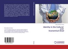 Buchcover von Identity in the Cultural and Economical Areal