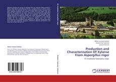 Capa do livro de Production and Characterization Of Xylanse From Aspergillus niger 