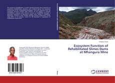 Ecosystem Function of Rehabilitated Slimes Dams at Mhangura Mine kitap kapağı