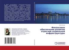 Финансовое обеспечение развития отраслей социальной инфраструктуры的封面