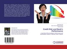 Capa do livro de Credit Risk and Bank’s Performance 