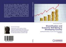 Diversification and Economic Well-Being in Developing Country的封面