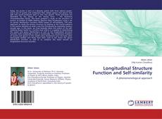 Buchcover von Longitudinal Structure Function and Self-similarity
