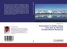 Обложка Convection in Earth’s Outer Core due to Thermal Compositional Buoyancy