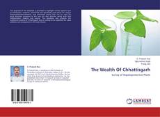 The Wealth Of Chhattisgarh的封面