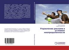 Buchcover von Управление рисками в условиях неопределенности
