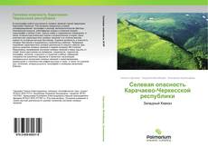 Buchcover von Селевая опасность Карачаево-Черкесской республики