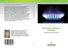 Buchcover von Сжигание газового топлива