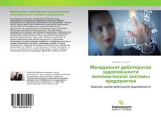 Менеджмент дебиторской задолженности экономической системы предприятия kitap kapağı