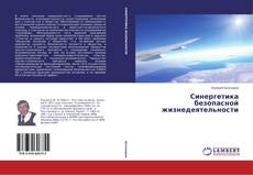 Обложка Синергетика безопасной жизнедеятельности