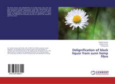 Buchcover von Delignification of black liquor from sunn hemp fibre