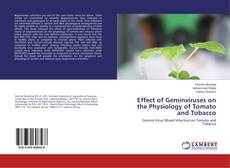 Effect of Geminviruses on the Physiology of Tomato and Tobacco kitap kapağı