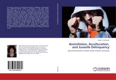 Buchcover von Assimilation, Acculturation, and Juvenile Delinquency
