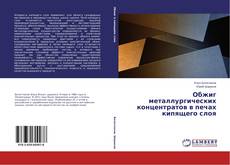 Обложка Обжиг металлургических концентратов в печах кипящего слоя