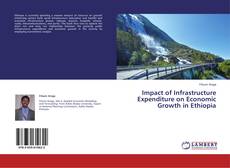 Buchcover von Impact of Infrastructure Expenditure on Economic Growth in Ethiopia