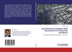 Capa do livro de Quantitative Ecological Risk Assessment of Industrial Accidents 