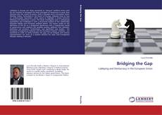Capa do livro de Bridging the Gap 