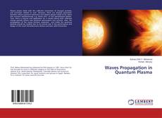 Waves Propagation in Quantum Plasma kitap kapağı