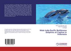 Buchcover von Male Indo-Pacific Bottlenose Dolphins at Captive in Indonesia