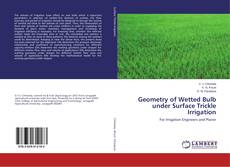 Обложка Geometry of Wetted Bulb under Surface Trickle Irrigation