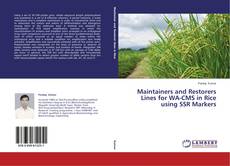 Couverture de Maintainers and Restorers Lines for WA-CMS in Rice using SSR Markers