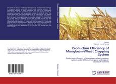 Bookcover of Production Efficiency of Mungbean-Wheat Cropping System