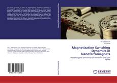 Обложка Magnetization Switching Dynamics in Nanoferromagnets