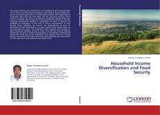 Capa do livro de Household Income Diversification and Food Security 