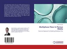 Buchcover von Multiphase Flow in Porous Media