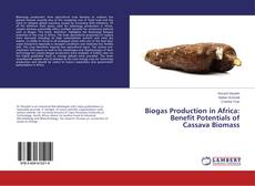 Copertina di Biogas Production in Africa: Benefit Potentials of Cassava Biomass
