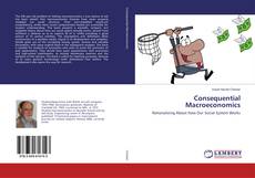 Buchcover von Consequential Macroeconomics