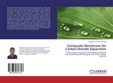 Composite Membrane for Carbon Dioxide Separation kitap kapağı